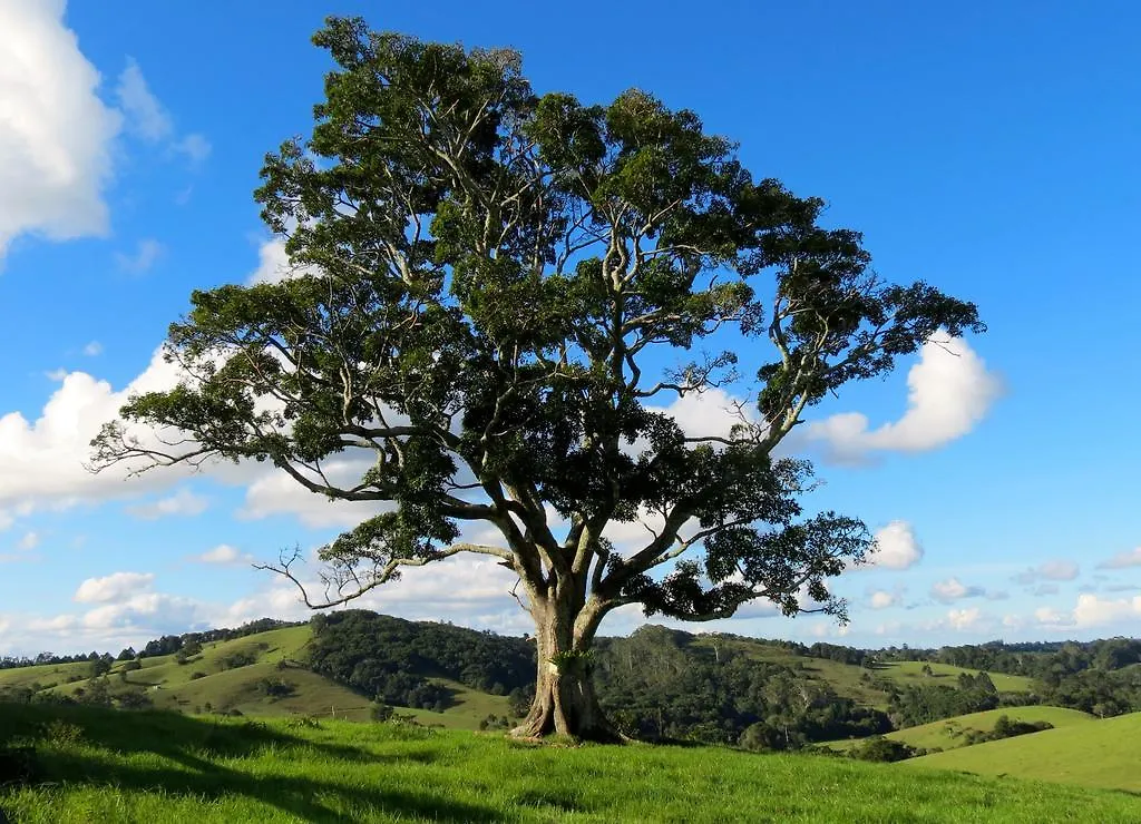 Affittacamere Maleny Springs Farm Hotel