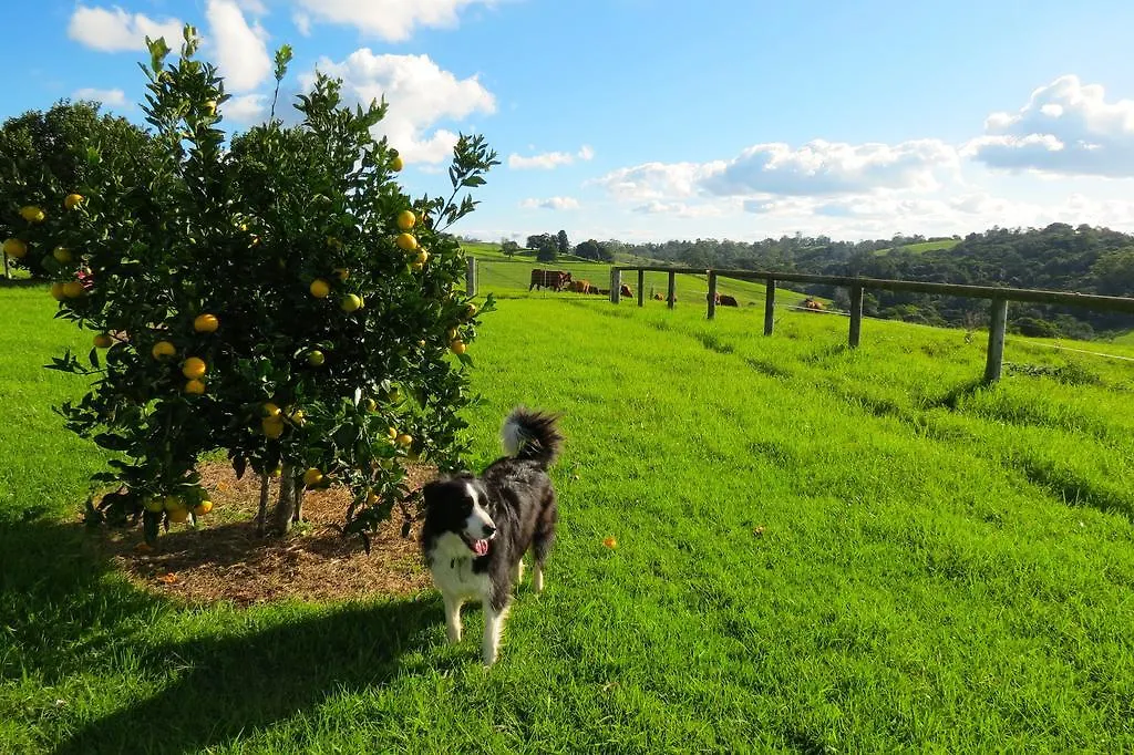 Affittacamere Maleny Springs Farm Hotel