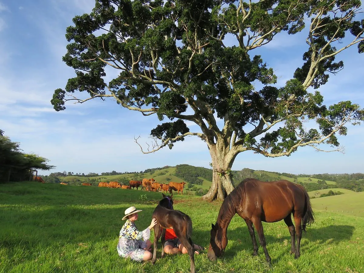 Maleny Springs Farm Hotel 4*,  Australia
