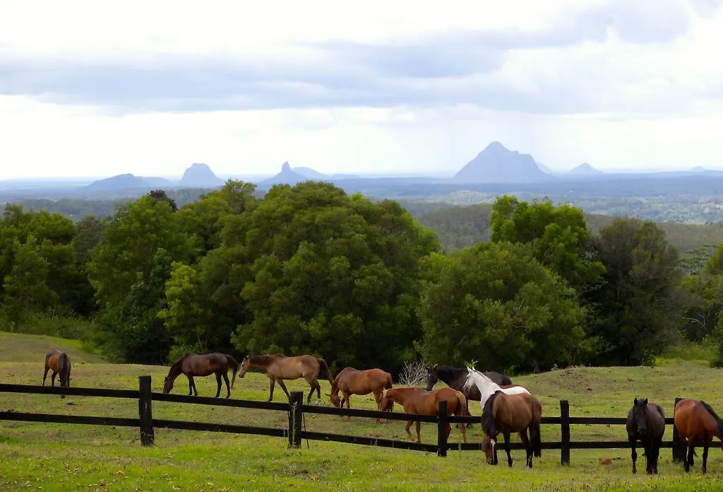 Maleny Springs Farm Hotel Pensjonat
