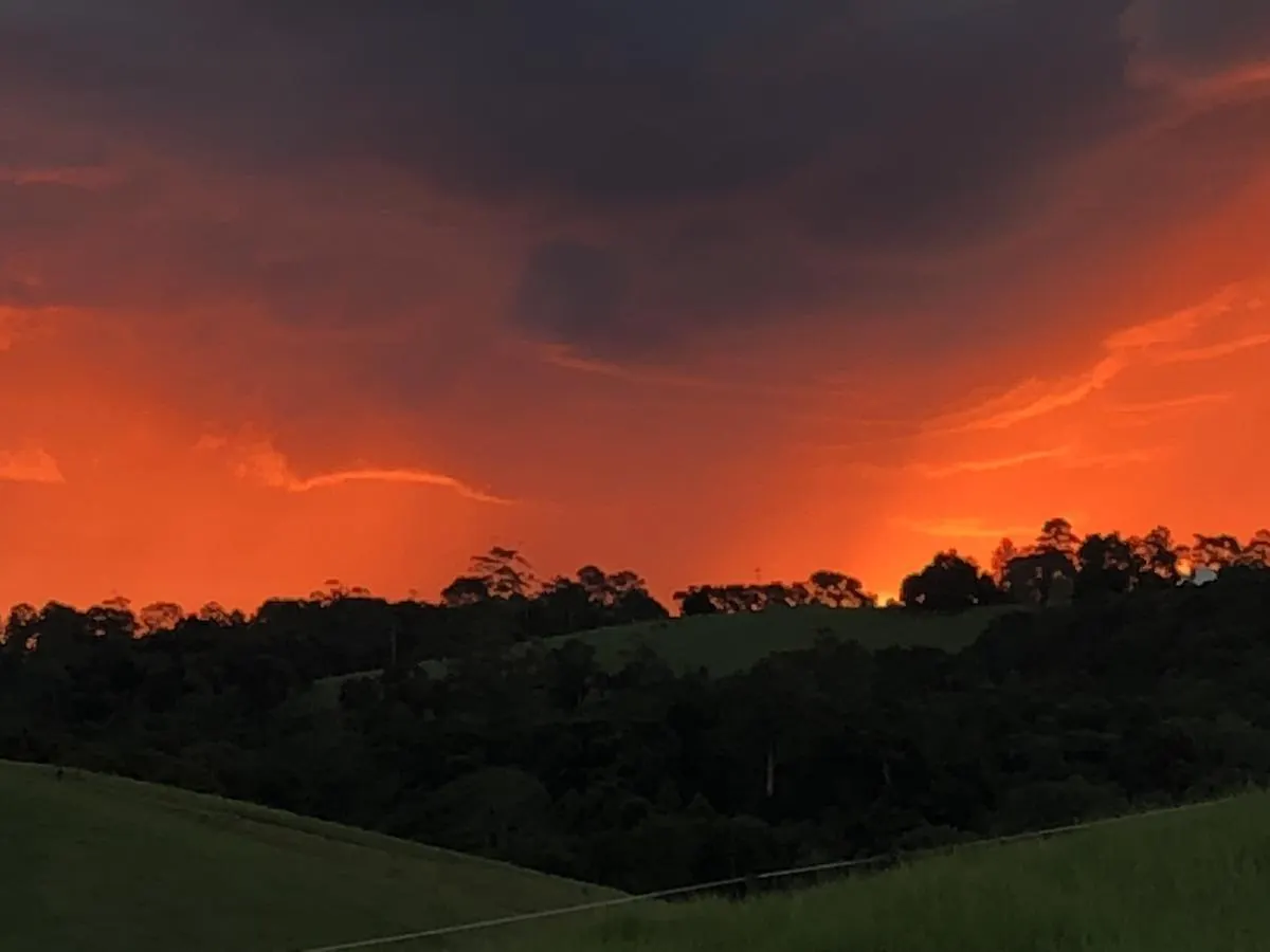 Pensjonat Maleny Springs Farm Hotel